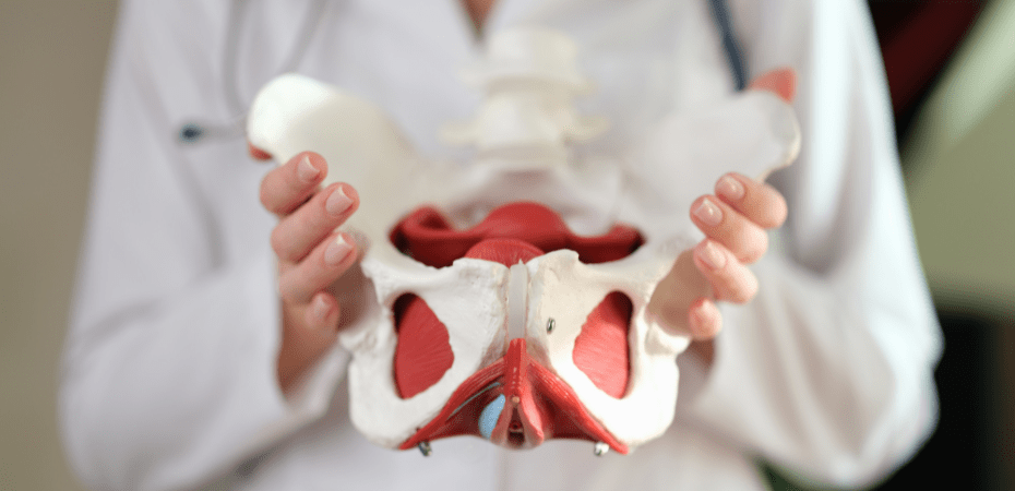 Arthrose sacro-iliaque : 7 questions pour tout comprendre - Cellsius | L’Orthopédie au service de votre bien-être Image