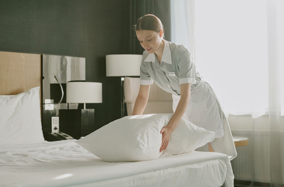 Meilleur oreiller d'hôtel : quel modèle pour un confort 5 étoiles chez soi ? - Cellsius | L’Orthopédie au service de votre bien-être Image