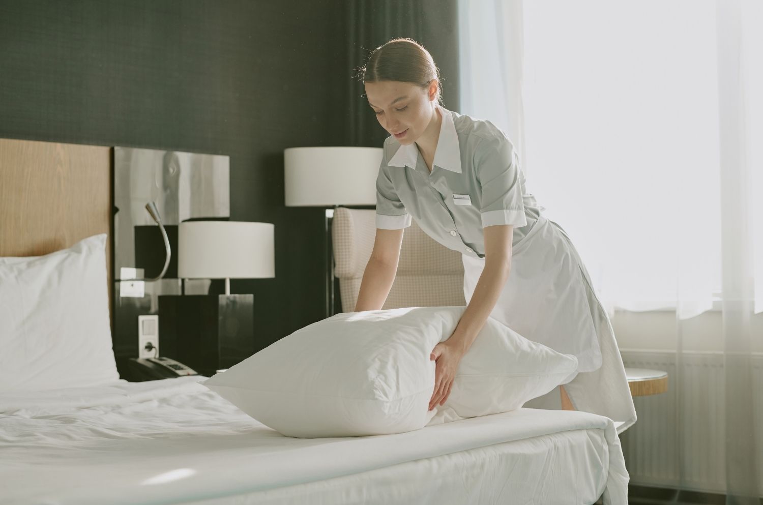 Meilleur oreiller d'hôtel : quel modèle pour un confort 5 étoiles chez soi ? - Cellsius | L’Orthopédie au service de votre bien-être Image