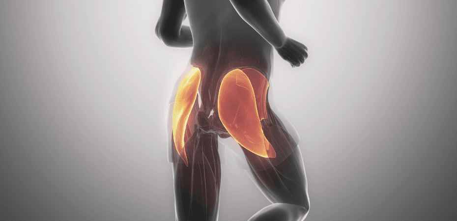 Tendinite moyen fessier : 7 exercices de kiné et étirements - Cellsius | L’Orthopédie au service de votre bien-être