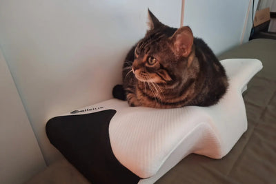 Le combo parfait avec le coussin genou