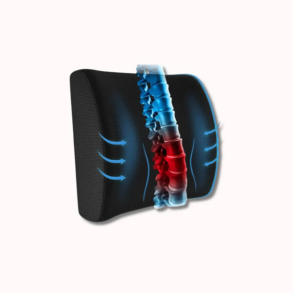 Coussin Orthopédique Dossier Cellsius - Soulage les douleurs lombaires et dorsales