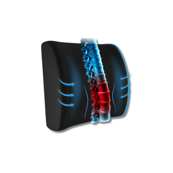 Coussin Orthopédique Dossier Cellsius - Soulage les douleurs lombaires et dorsales