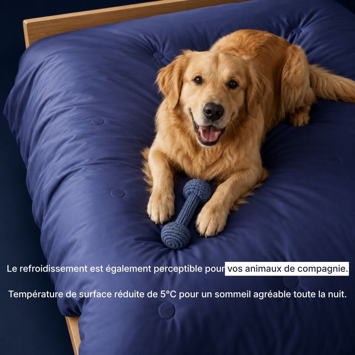 Couette rafraîchissante Cellsius - Le secret d'une nuit fraîche - Cellsius | L’Orthopédie au service de votre bien-être
