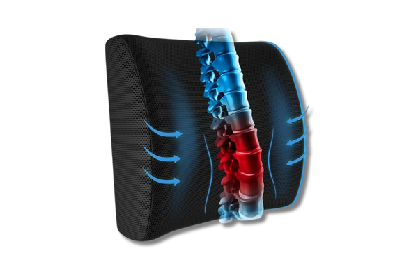Coussin Orthopédique Dossier Cellsius - Soulage les douleurs lombaires et dorsales